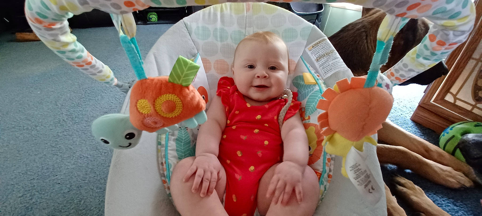 Paisley joined the competition — help win amazing prizes! baby, baby_products, baby_toddler_clothing, child, comfort, event, eye, gesture, happy, head, linens, person, play, room, sitting, skin, smile, stuffed_toy, tableware, textile