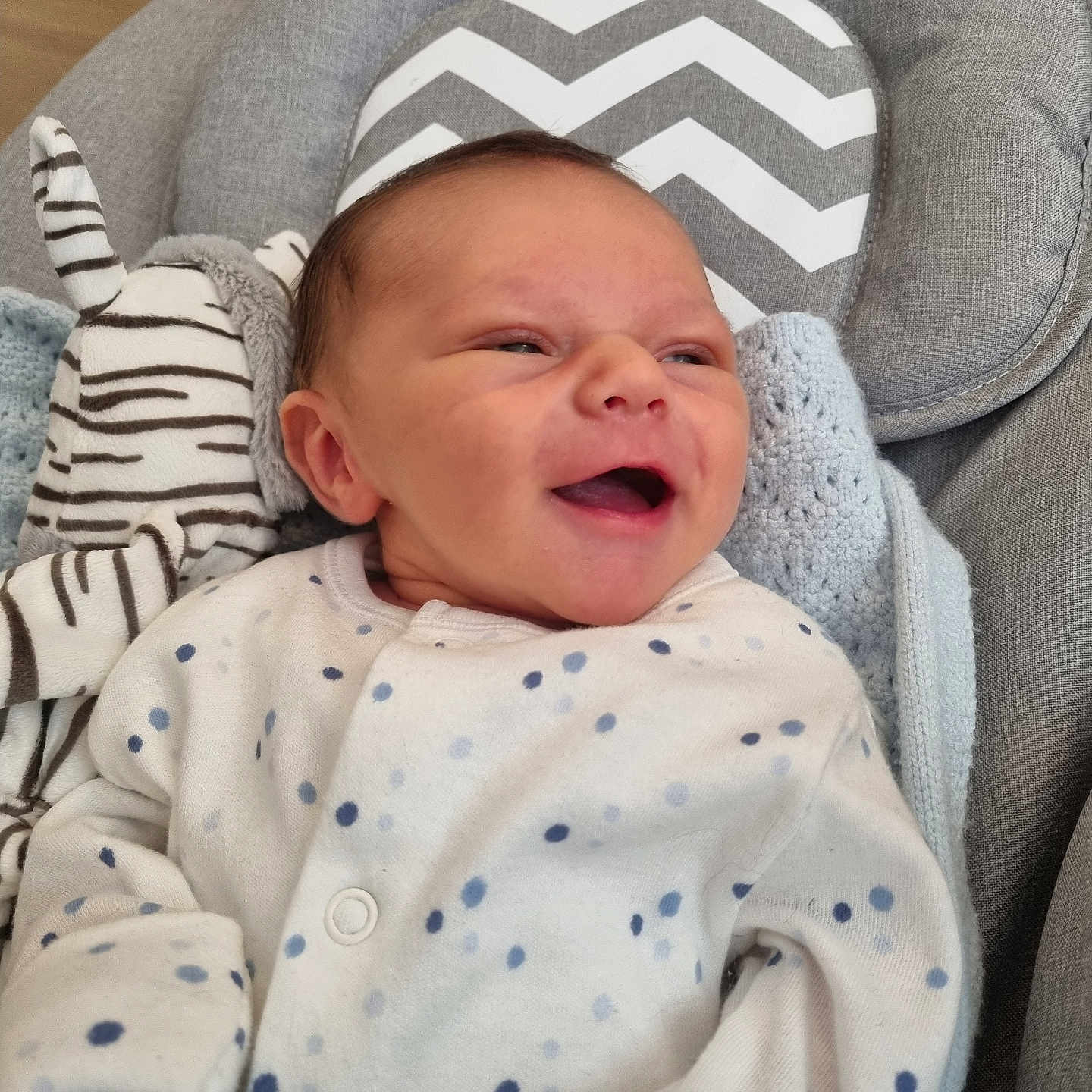 Albie Hallett-Oinn is registered to the contest to win money with this photo: baby, blue, child, cozy, cushion, cute, gray, happy, indoor, infant, newborn, onesie, plush_toy, polka_dots, portrait, seat, smiling, soft, white, zebra_toy