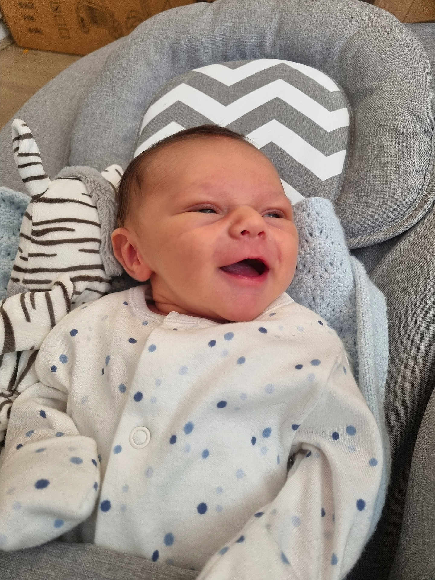 Albie Hallett-Oinn is registered to the contest to win money with this photo: baby, blue, child, cozy, cushion, cute, gray, happy, indoor, infant, newborn, onesie, plush_toy, polka_dots, portrait, seat, smiling, soft, white, zebra_toy