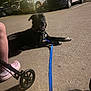 dog, black_dog, leash, chain_collar, parking_lot, night, streetlight, person, footwear, pink_crocs, socks, stroller_wheel, vehicle, pickup_truck, car, concrete, outdoor, resting, animal, urban