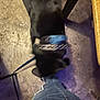animal, black_dog, blur, casual, chair, closeup, collar, concrete_floor, dog, floor, footwear, furniture_leg, indoor, jeans, leash, motion_blur, person, pet, ripped_jeans, table