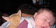 Sage is registered to the contest to win money with this photo: baby, cat, sleeping, blanket, indoor, remote_control, table, bottle, cup, lamp, sofa, clothing, animal, child, face, rest, comfort, pet, home, relaxation