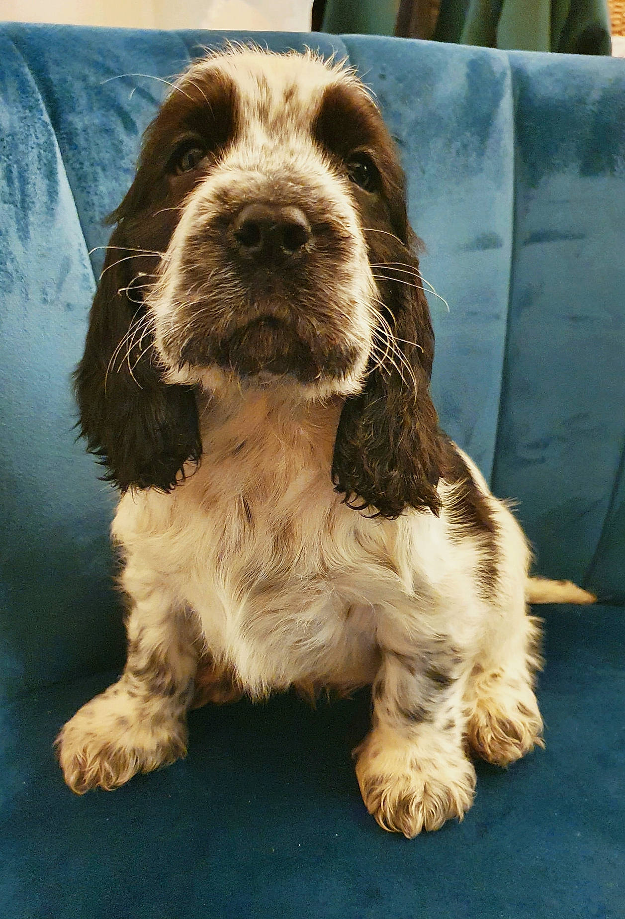 Ben