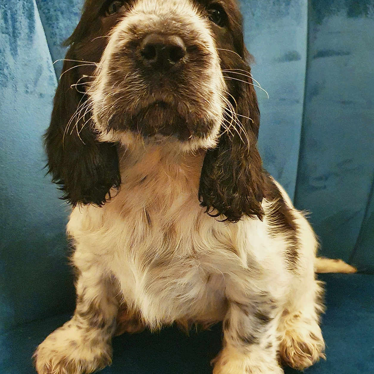 Ben
