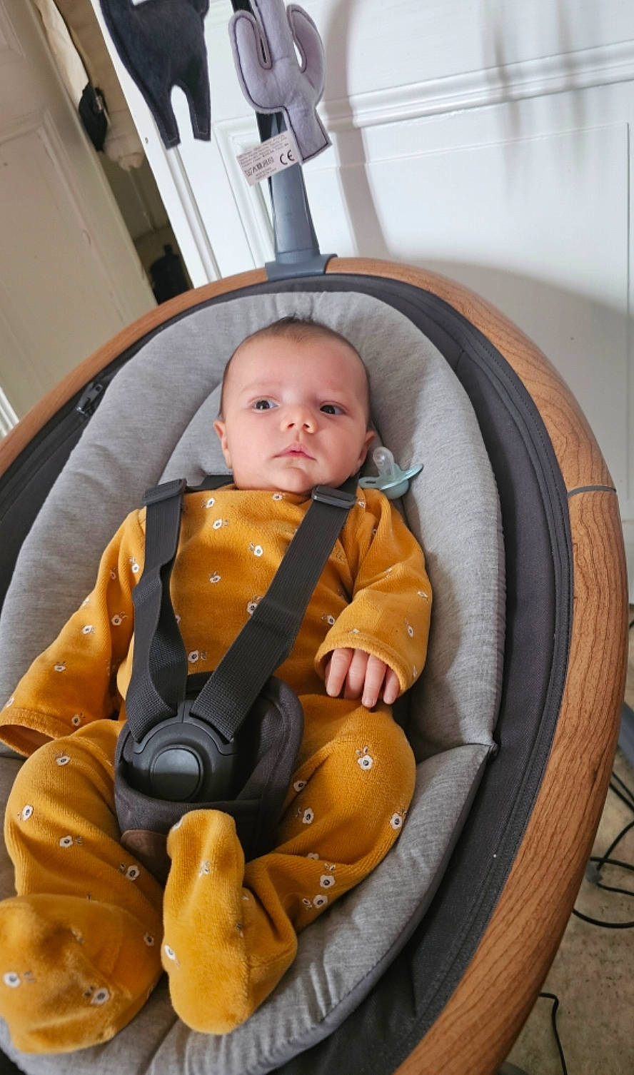 Imen participe au concours pour gagner de l'argent avec cette photo : auto_part, baby, baby_carriage, baby_in_car_seat, baby_products, baby_safety, baby_toddler_clothing, car_seat, chair, child, comfort, fun, hairstyle, head, lap, person, room, sitting, toddler, vacation