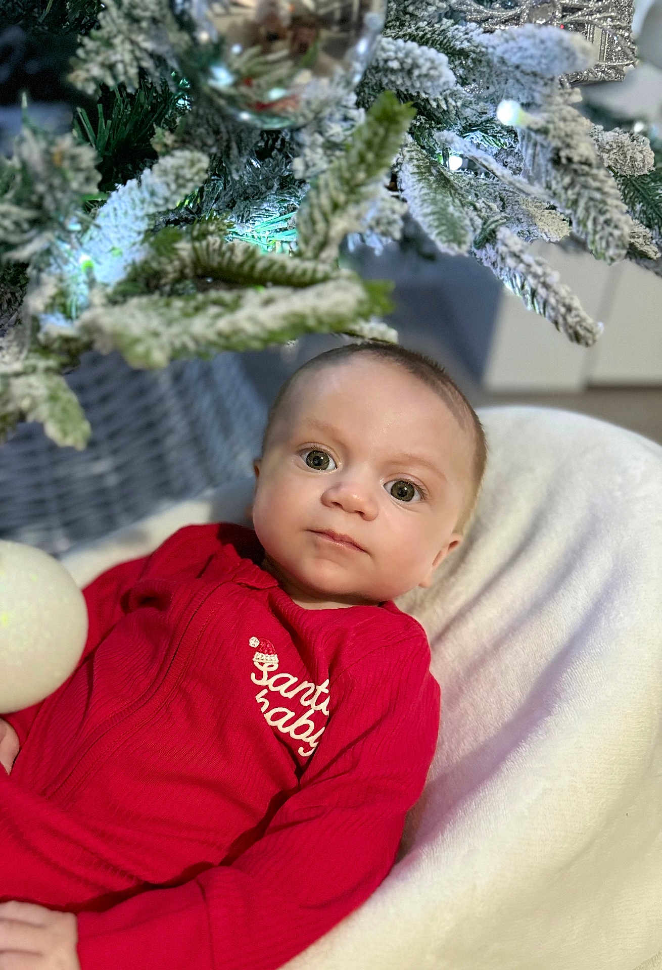 Oscar is registered to the contest to win money with this photo: baby, infant, red_clothing, christmas_tree, ornament, holiday, festive, blanket, face, eyes, expression, indoors, winter, decorations, cute, portrait, child, seasonal, celebration, cozy