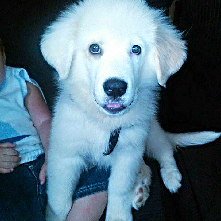 Chevy is registered to the contest to win money with this photo:
