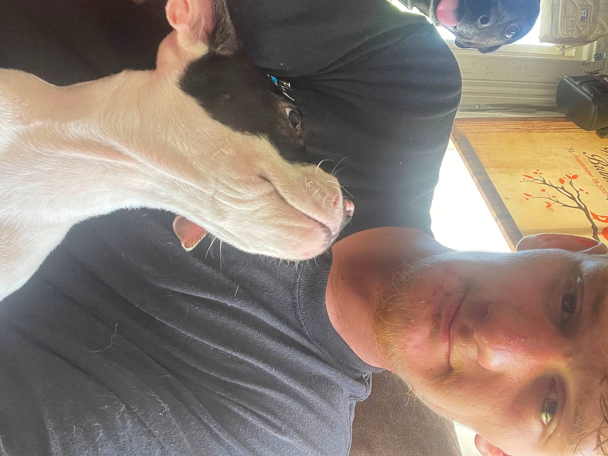 Dimond joined the competition — help win amazing prizes! arm, carnivore, comfort, ear, elbow, finger, gesture, hand, human_body, jaw, joint, knee, leg, neck, shoulder, skin, thigh, thumb, trunk, wrist