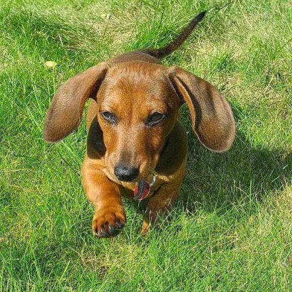 Buzz joined the competition — help win amazing prizes!