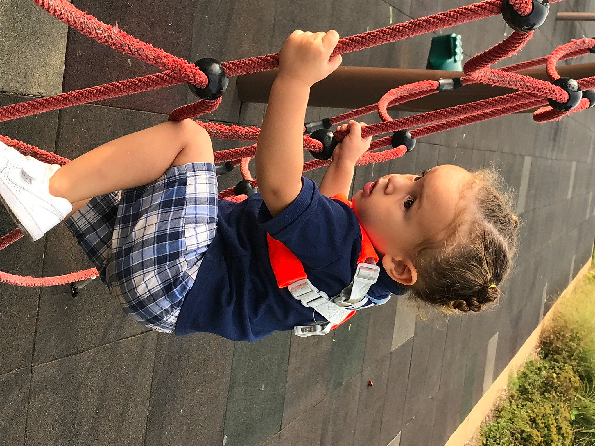 Royal joined the competition — help win amazing prizes! design, person, playground, rope