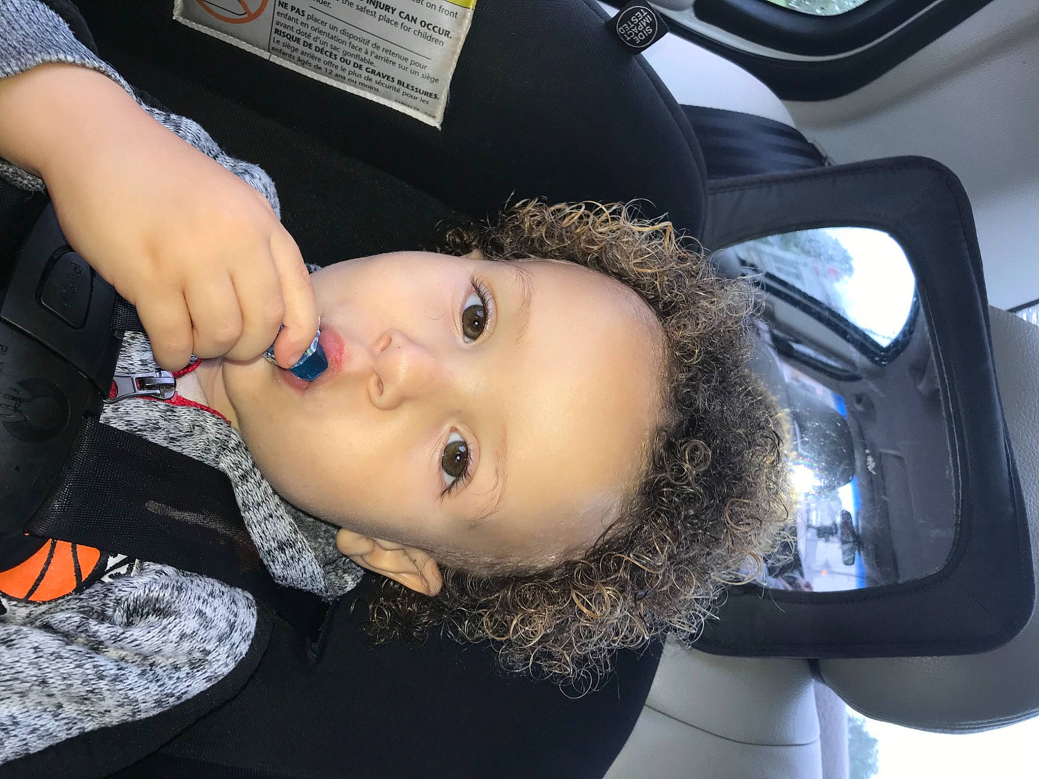 Royal joined the competition — help win amazing prizes! black_hair, car_seat, hair, head, neck, person