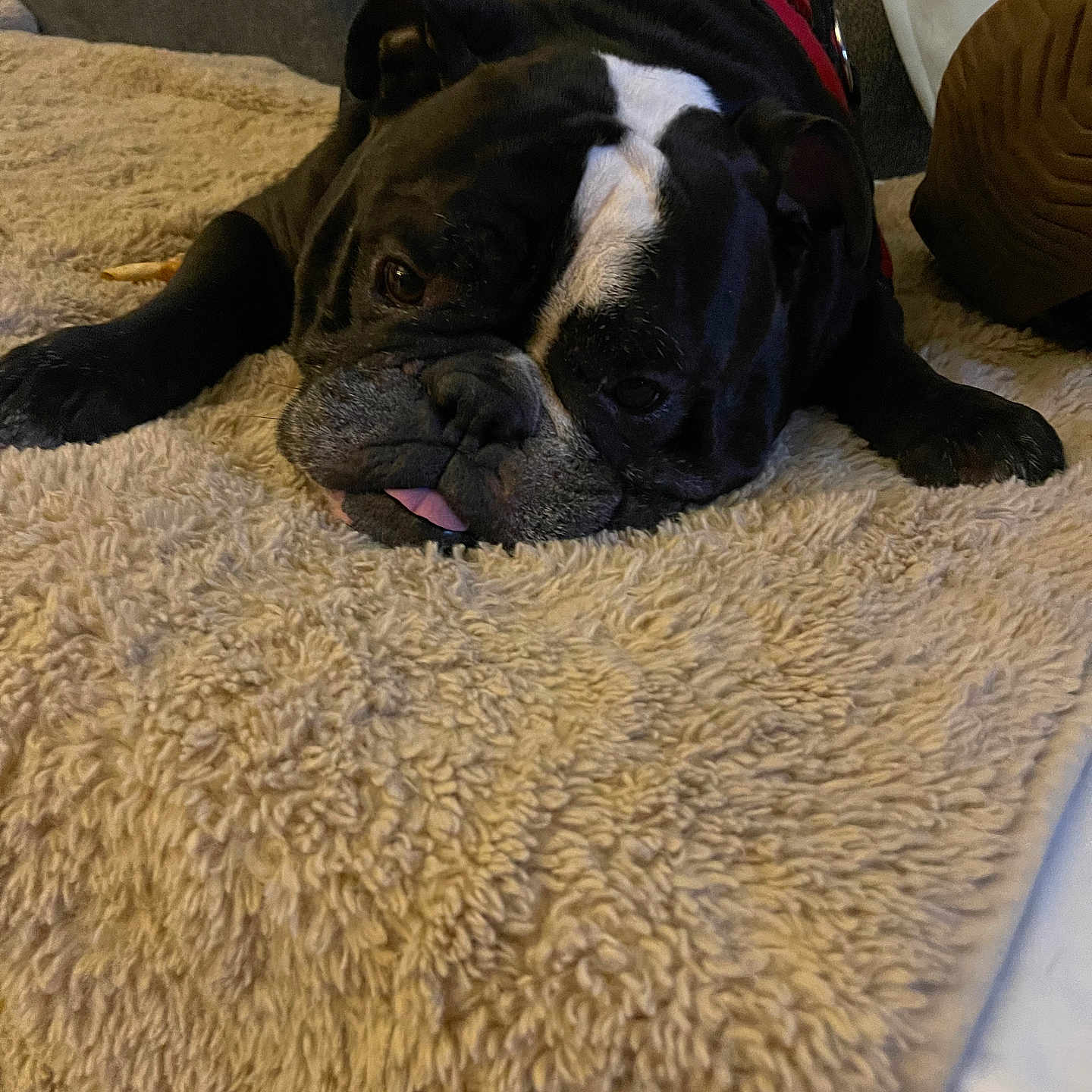 Sir Winston Dean