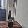 Shadow joined the competition — help win amazing prizes! black_dog, carved_table, collar, dog, door, doorway, floor, furniture, home, indoor, light, mug, pet, quiet, room, shadow, table, waiting, wall, wooden_table