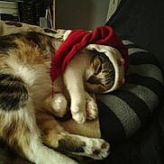 Easy participe au concours pour gagner de l'argent avec cette photo :