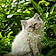 Bounty