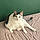 Mozzie
