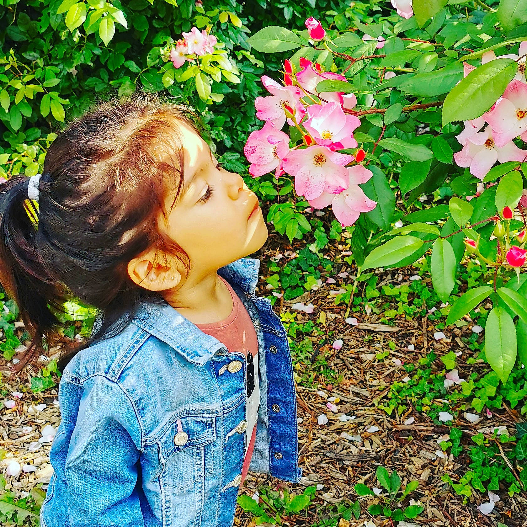 Camille a rejoint le concours — aidez-le/la à gagner de superbes lots ! annual_plant, baby_toddler_clothing, botany, child, electric_blue, flower, flowering_plant, grass, groundcover, happy, leaf, nature, people_in_nature, person, petal, plant, rose_family, sleeve, spring, toddler