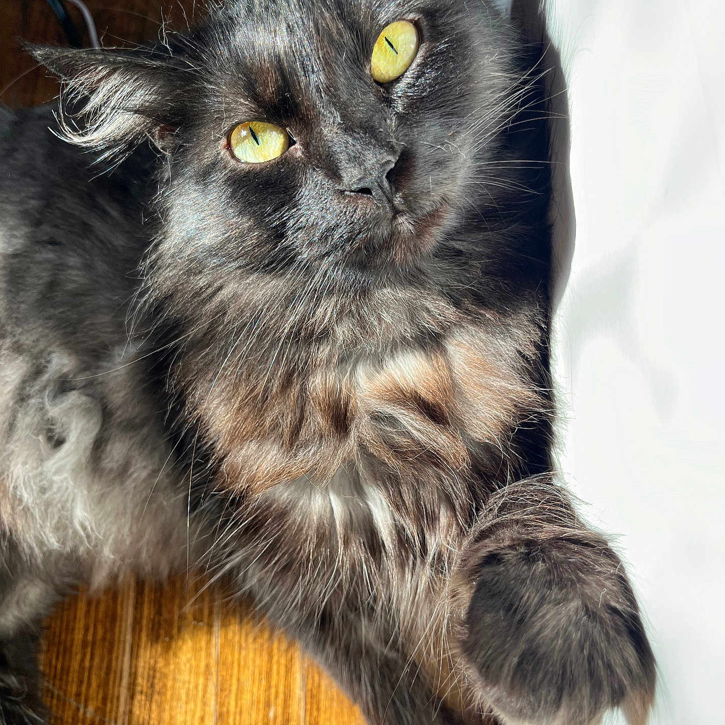 Luna