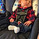 Matthew