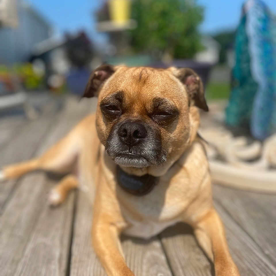Finley
