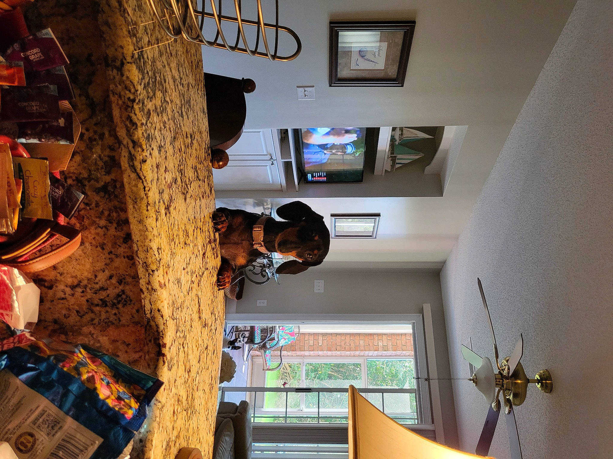 Georgia is registered to the contest to win money with this photo: architecture, art, automotive_tire, building, ceiling, design, flooring, house, interior_design, leisure, lighting, picture_frame, plant, space, tire, tree, wall, wheel, window, wood