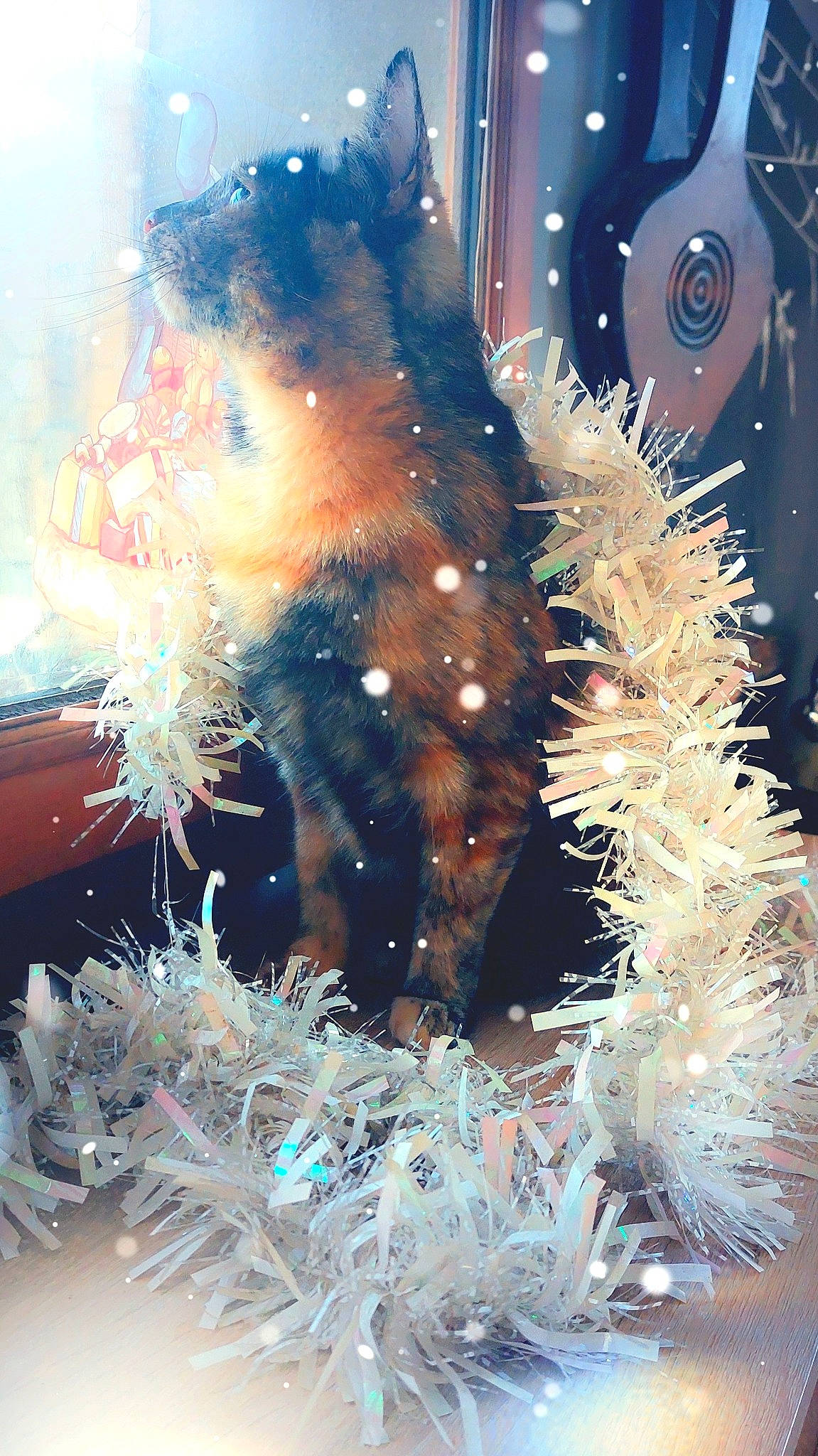 Roxane a rejoint le concours — aidez-le/la à gagner de superbes lots ! cg_artwork, coral, electric_blue, entertainment, event, fun, fur, glass, marine_biology, organism, people_in_nature, selfie, space, underwater, window