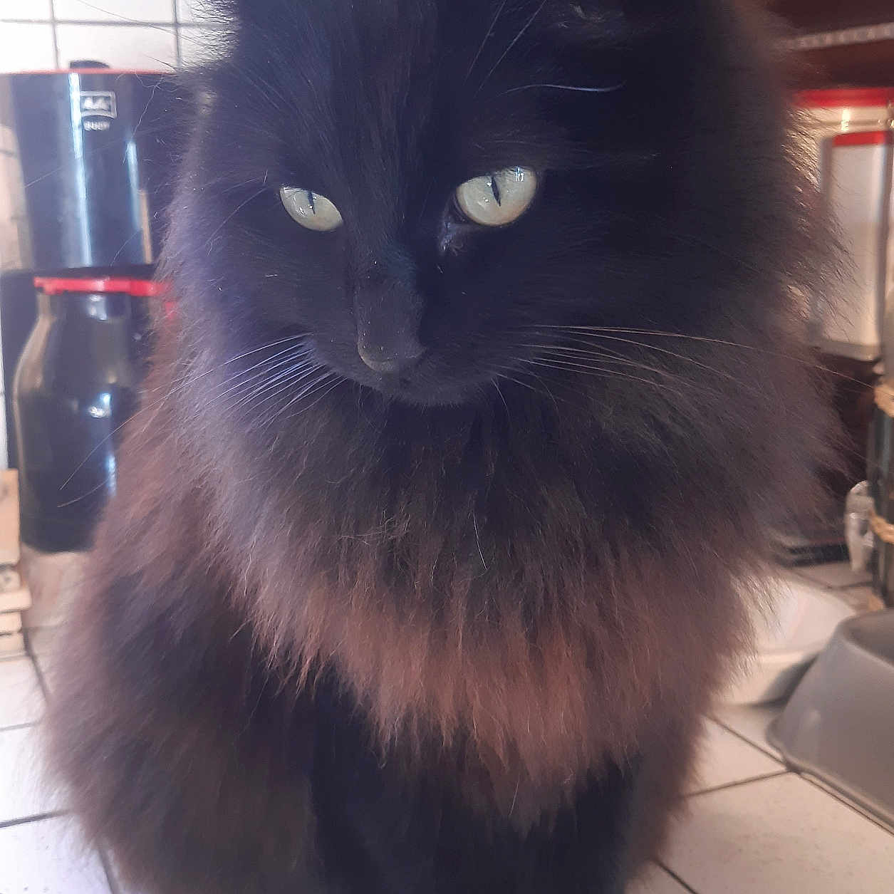 Princesse