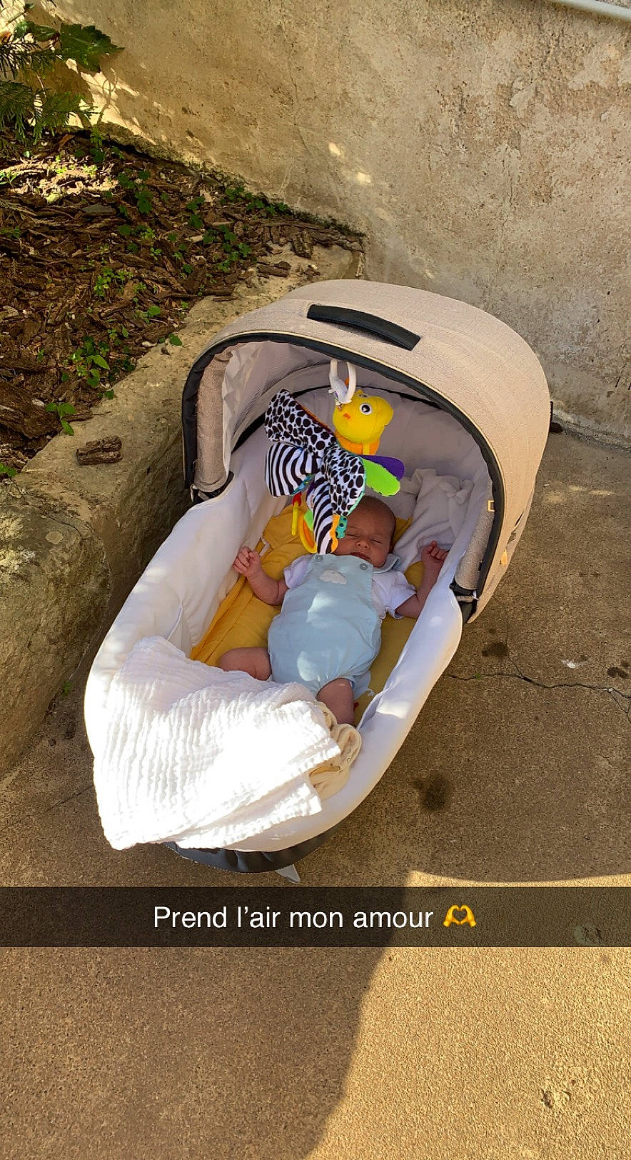 Harper participe au concours pour gagner de l'argent avec cette photo : baby, baby_carriage, baby_products, baby_toddler_clothing, baby_toys, chair, child, circle, comfort, fun, grass, leisure, outdoor_furniture, person, plant, product, recreation, sitting, soil, toddler