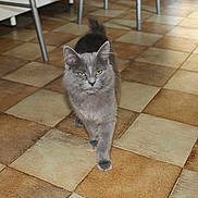 Tryskelle participe au concours pour gagner de l'argent avec cette photo :