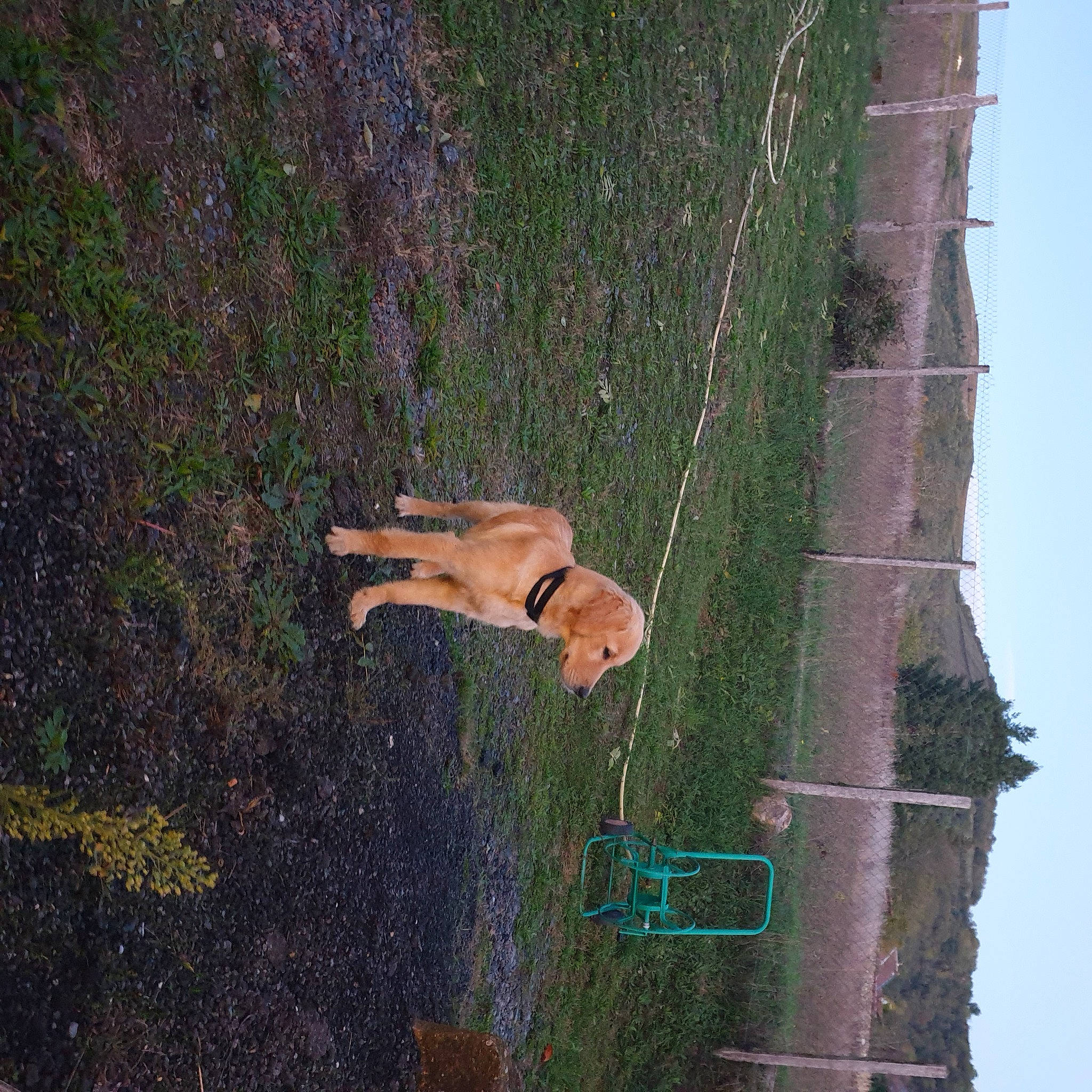 Ulysse a rejoint le concours — aidez-le/la à gagner de superbes lots ! adventure, elbow, grass, landscape, plant, recreation, sky, slope, soil, tree, trunk, wildlife, wood, woody_plant