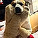 Shep