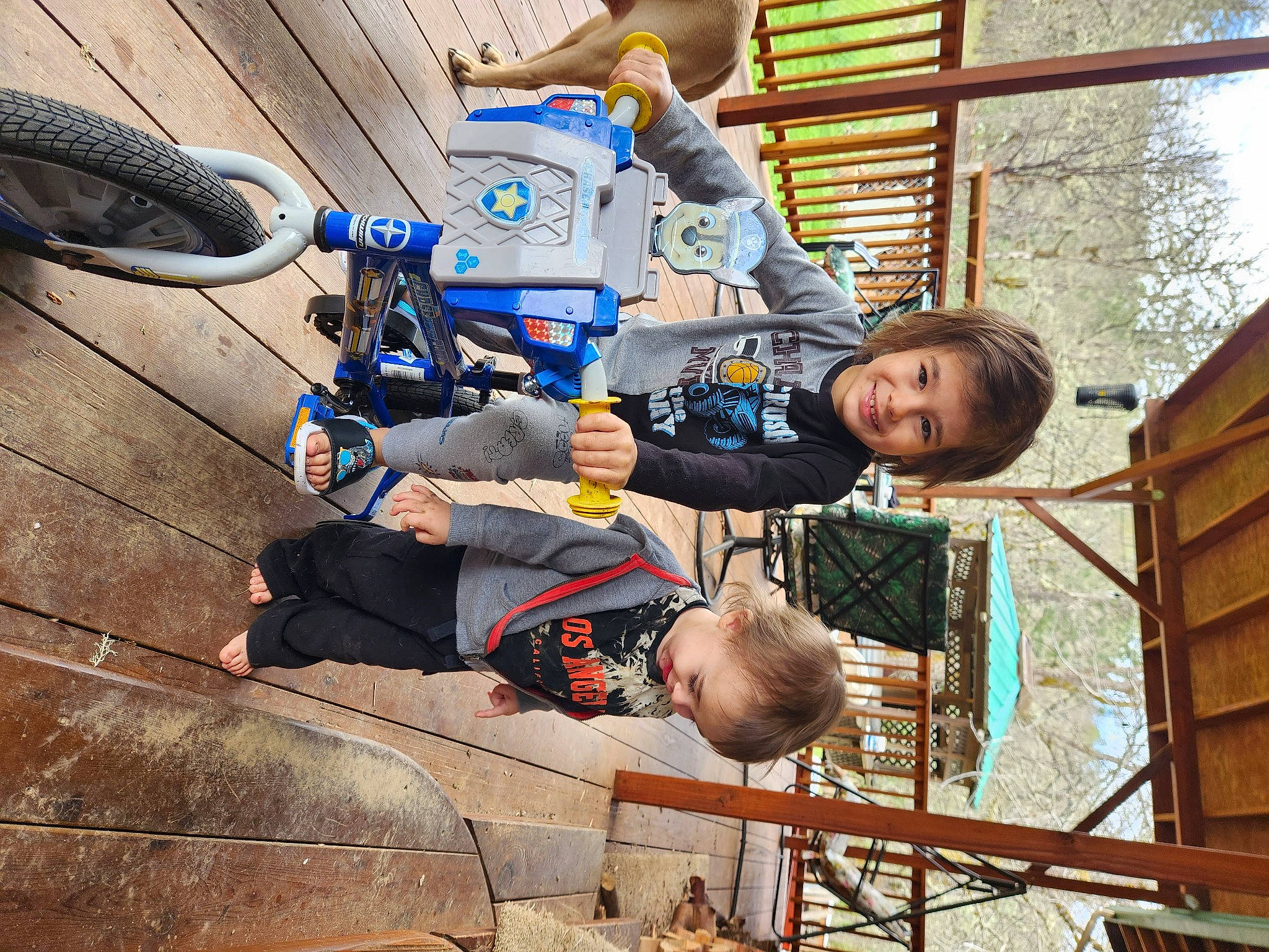 Brayden is registered to the contest to win money with this photo: automotive_tire, bicycle_frame, bicycle_handlebar, bicycle_tire, bicycle_wheel, child, city, electric_blue, fun, joy, leisure, person, personal_protective_equipment, recreation, smile, t_shirt, tire, toddler, tree, wheel