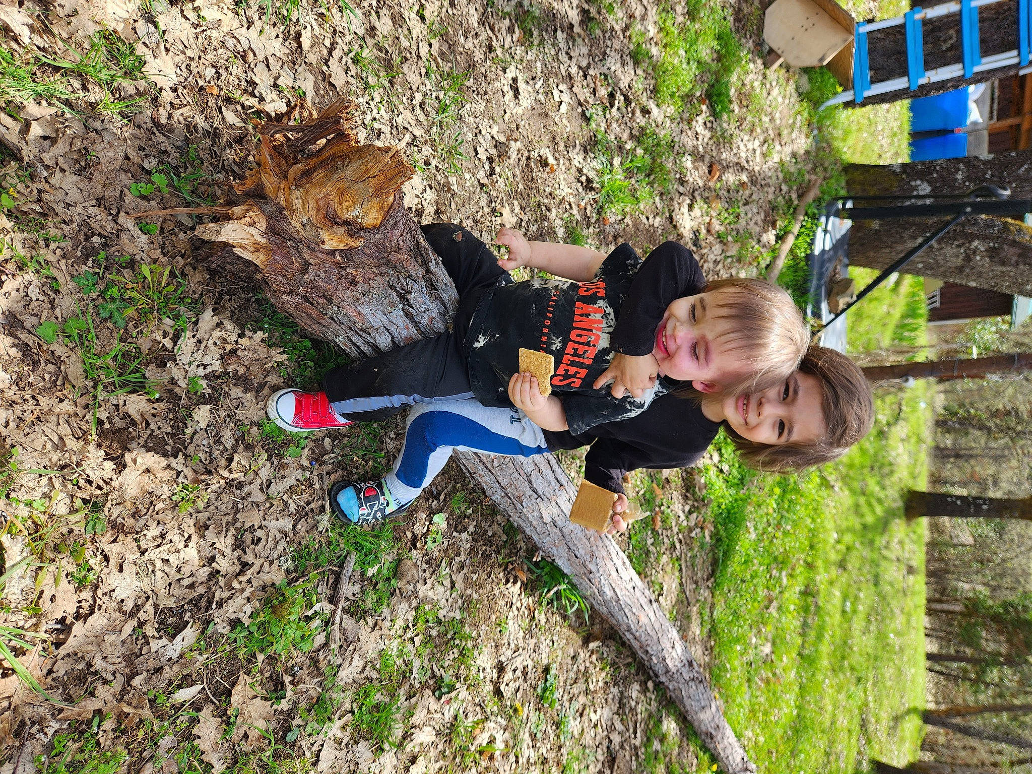 Brayden joined the competition — help win amazing prizes! adventure, bedrock, child, fun, grass, happy, joy, leisure, people_in_nature, person, plant, play, recreation, rock, soil, toddler, tree, trunk, wood