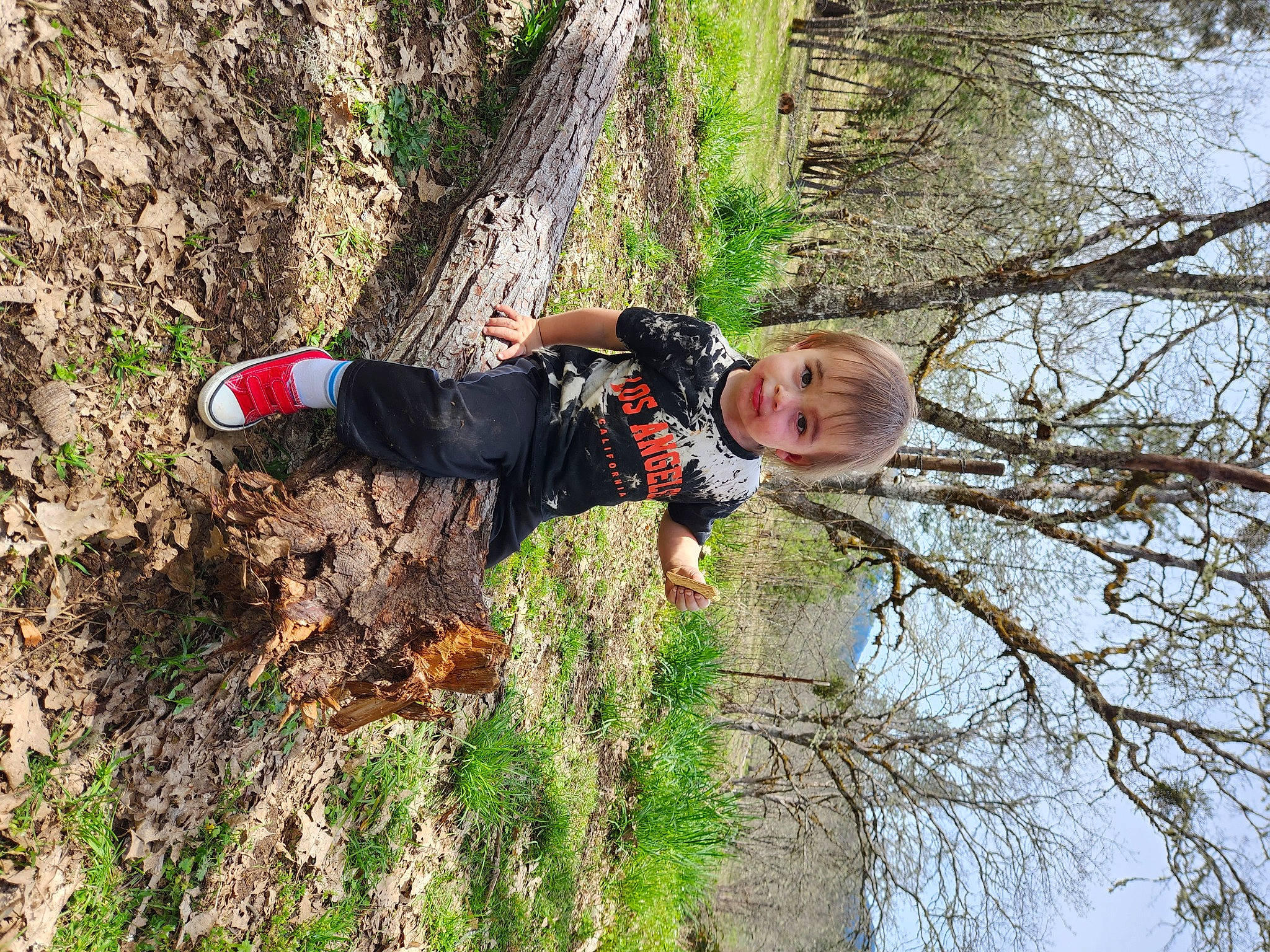 Shane joined the competition — help win amazing prizes! adventure, bedrock, forest, fun, grass, jungle, leisure, people_in_nature, person, plant, recreation, sky, toddler, tree, trunk, wood