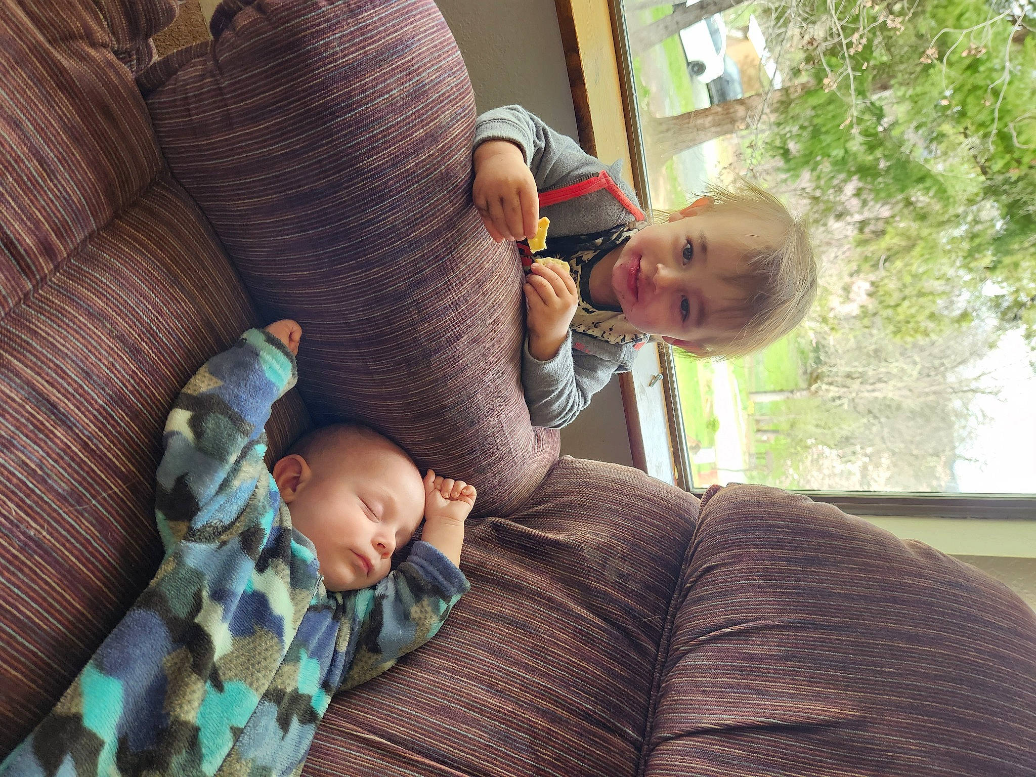 Shane joined the competition — help win amazing prizes! baby, child, comfort, couch, eye, finger, grass, head, joint, lap, leaf, leg, organ, person, plant, sitting, thigh, toddler, tree, window