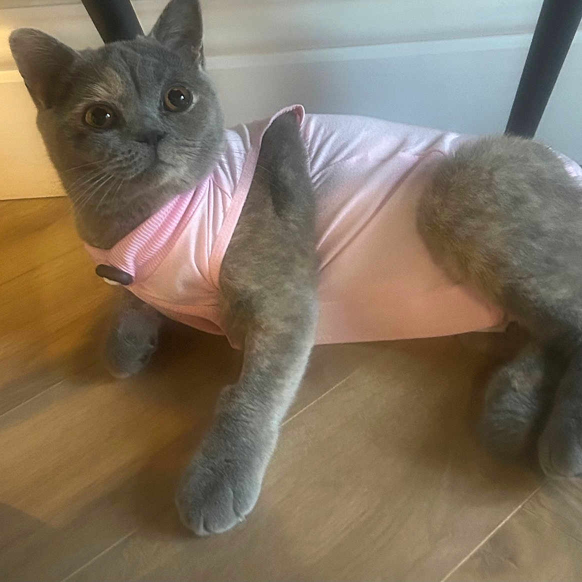 Luna