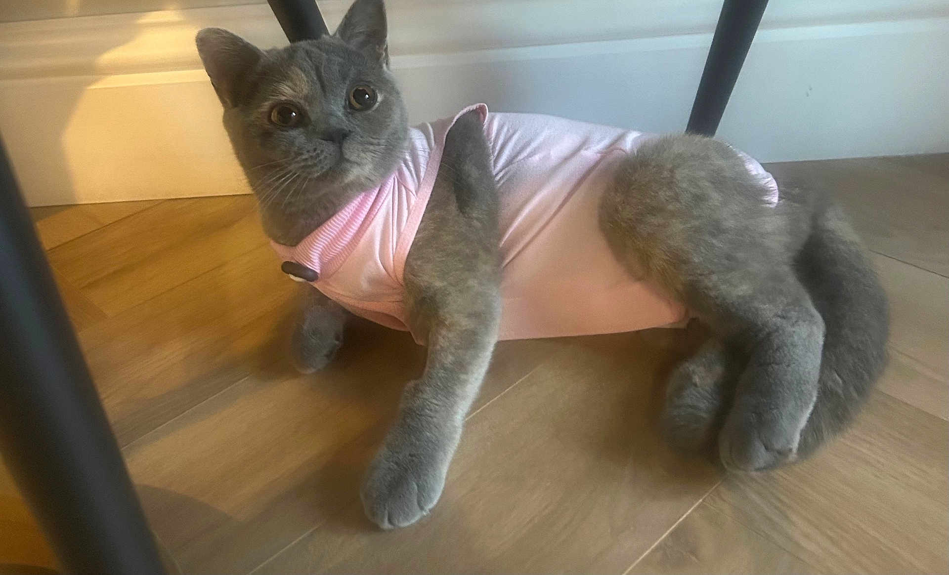 Luna