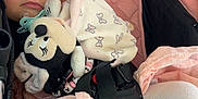 Aaliyah participe au concours pour gagner de l'argent avec cette photo : toddler, sleeping, stroller, pink, plush_toy, minnie_mouse, child, pacifier, white_tights, dress, baby, comfort, nap, cute, cozy, peaceful, seatbelt, fabric, mesh, resting