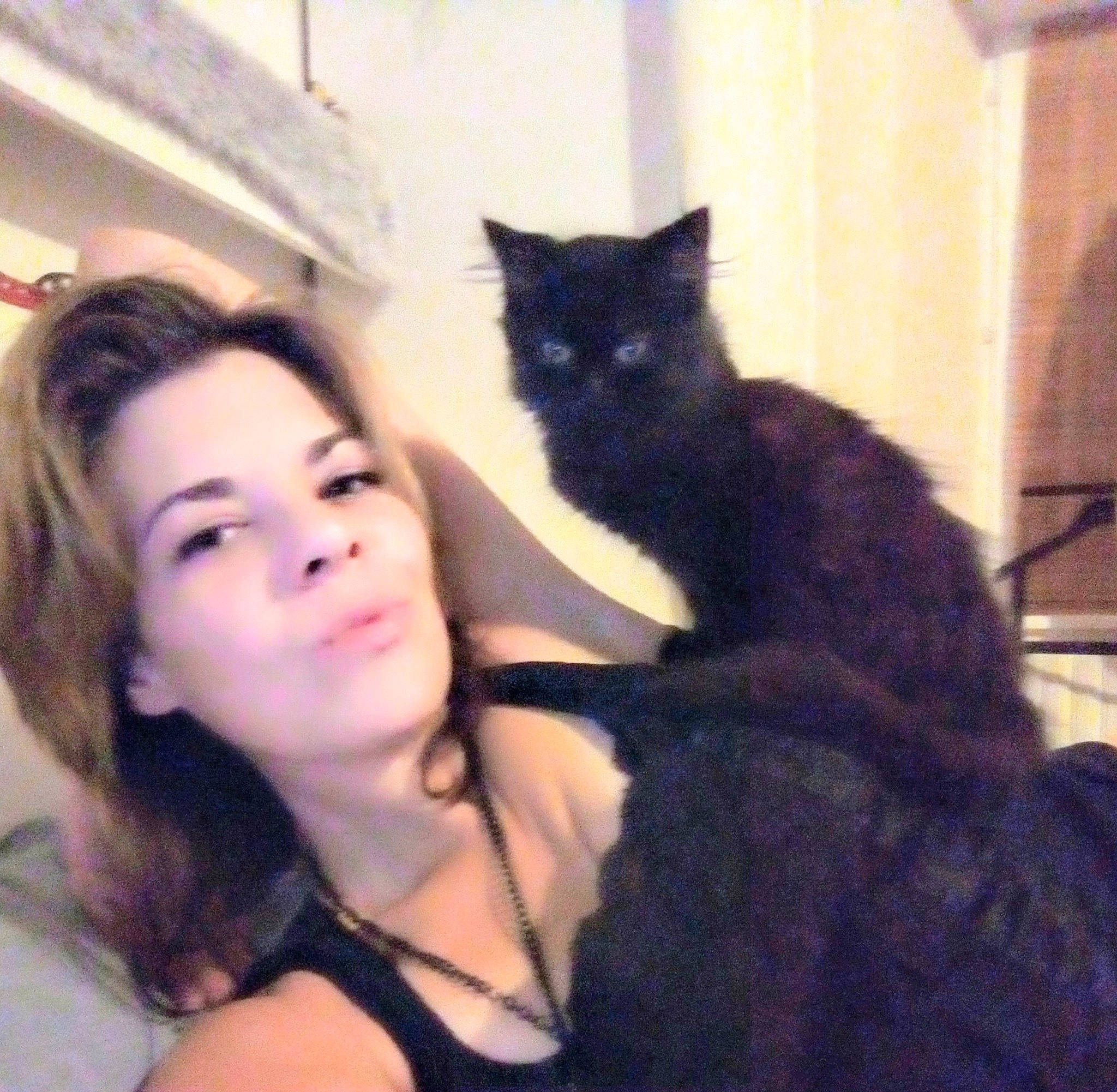 Hina a rejoint le concours — aidez-le/la à gagner de superbes lots ! black_cat, black_hair, carnivore, cat, domestic_short_haired_cat, ear, felidae, fur, kitten, selfie, small_to_medium_sized_cats, whiskers