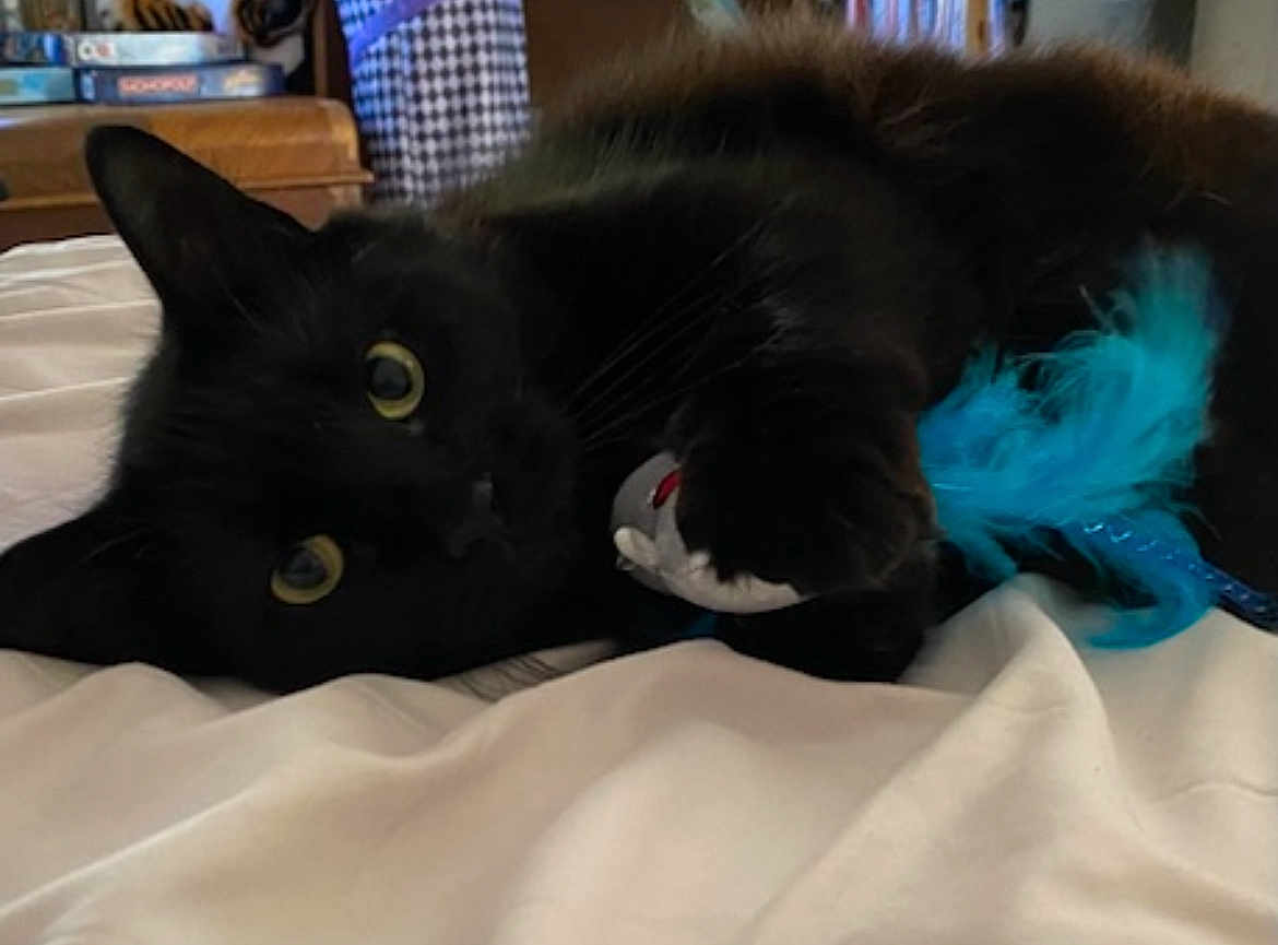 Sophie