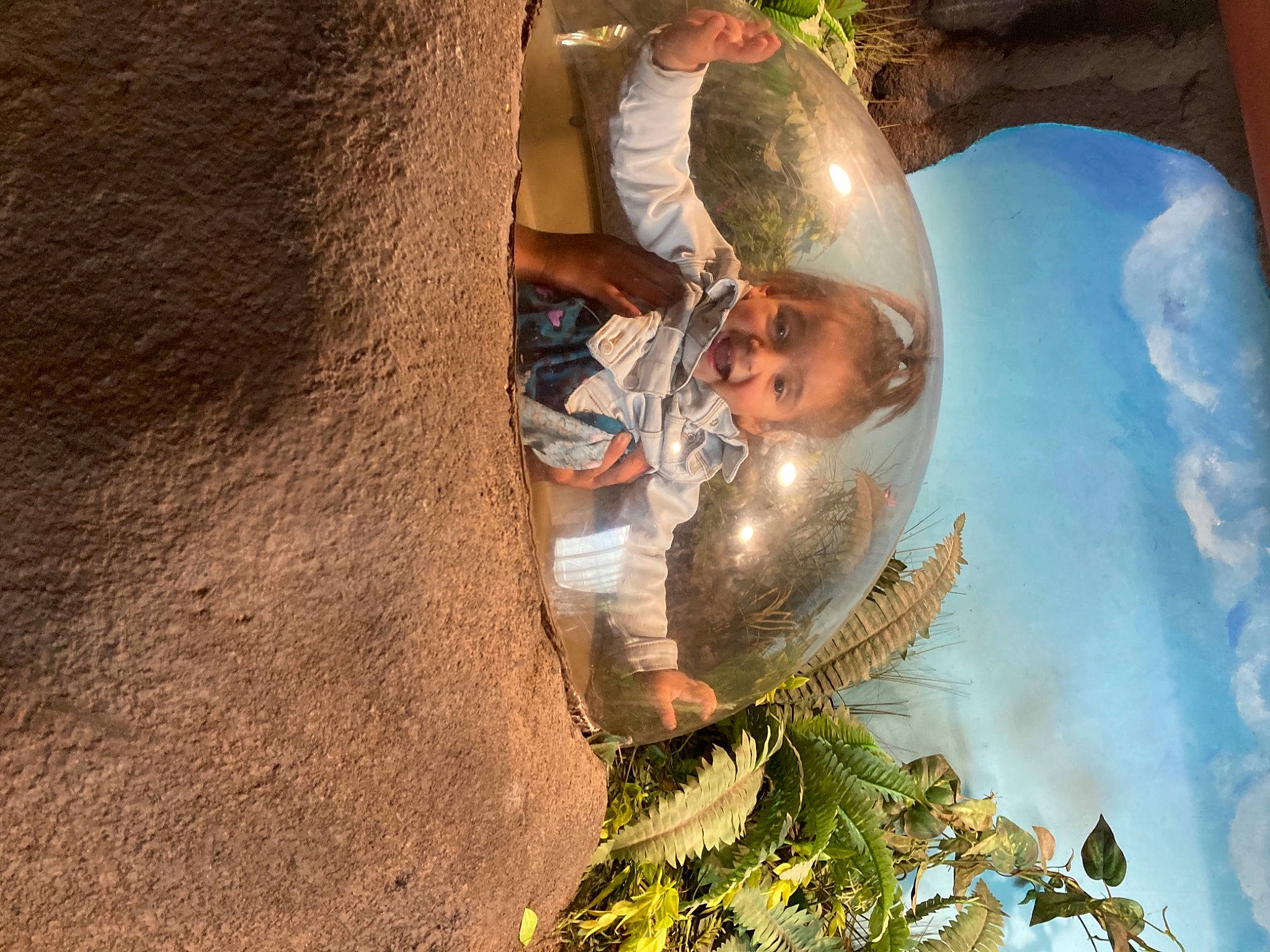 Mila joined the competition — help win amazing prizes! circle, event, fun, glass, glasses, grass, happy, interior_design, landscape, leisure, person, plant, reflection, rock, soil, sphere, sunlight, tourism, tree, vacation