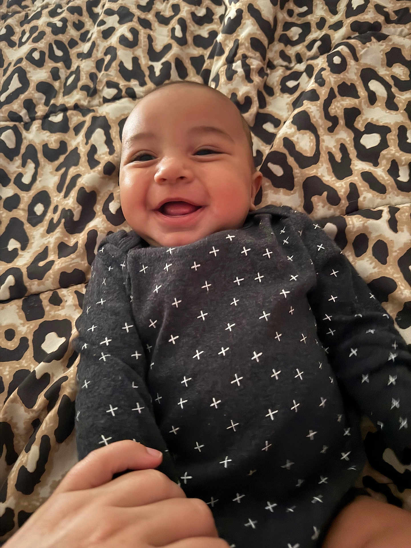 Haylee joined the competition — help win amazing prizes! baby, smiling, infant, hand, holding, blanket, leopard_print, clothing, black_onesie, face, happy, cute, skin, person, portrait, lying_down, closeup, child, indoors, soft