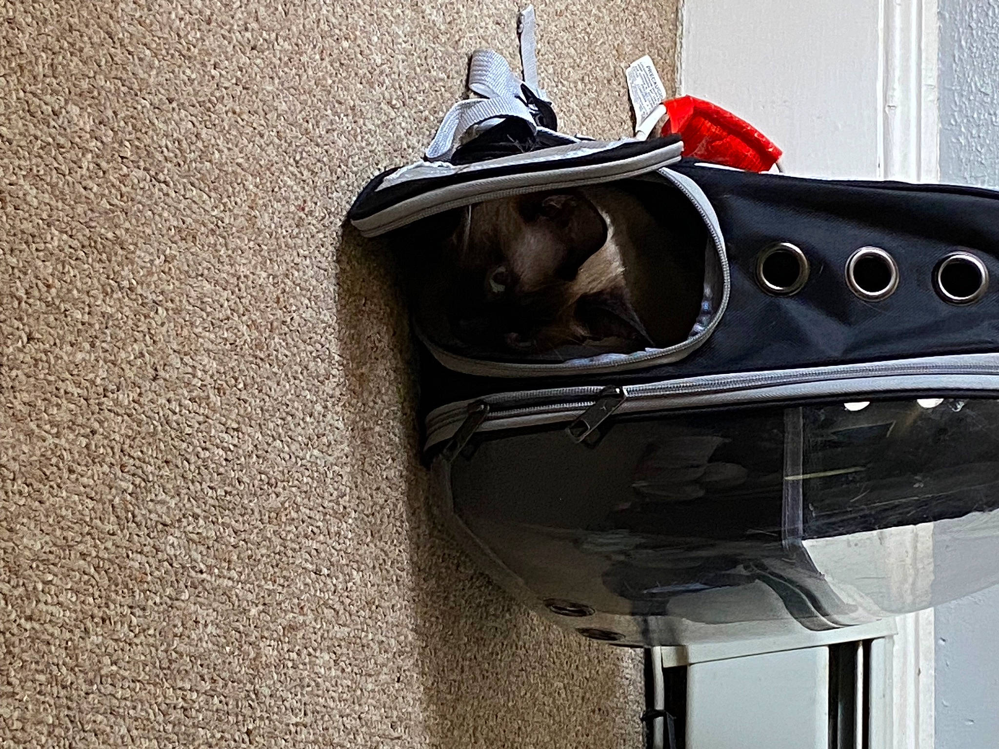 Diamond is registered to the contest to win money with this photo: art, auto_part, automotive_design, automotive_exhaust, automotive_exterior, automotive_lighting, automotive_tire, automotive_wheel_system, bag, bumper, grille, hood, luxury_vehicle, metal, motor_vehicle, personal_luxury_car, sculpture, street_light, vehicle_door, wood