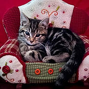 Sally is registered to the contest to win money with this photo: kitten, cat, tabby, animal, pet, plush_chair, red_background, cozy, cute, feline, curious, fur, small, indoor, resting, decorative, buttons, embroidered, soft, comfortable