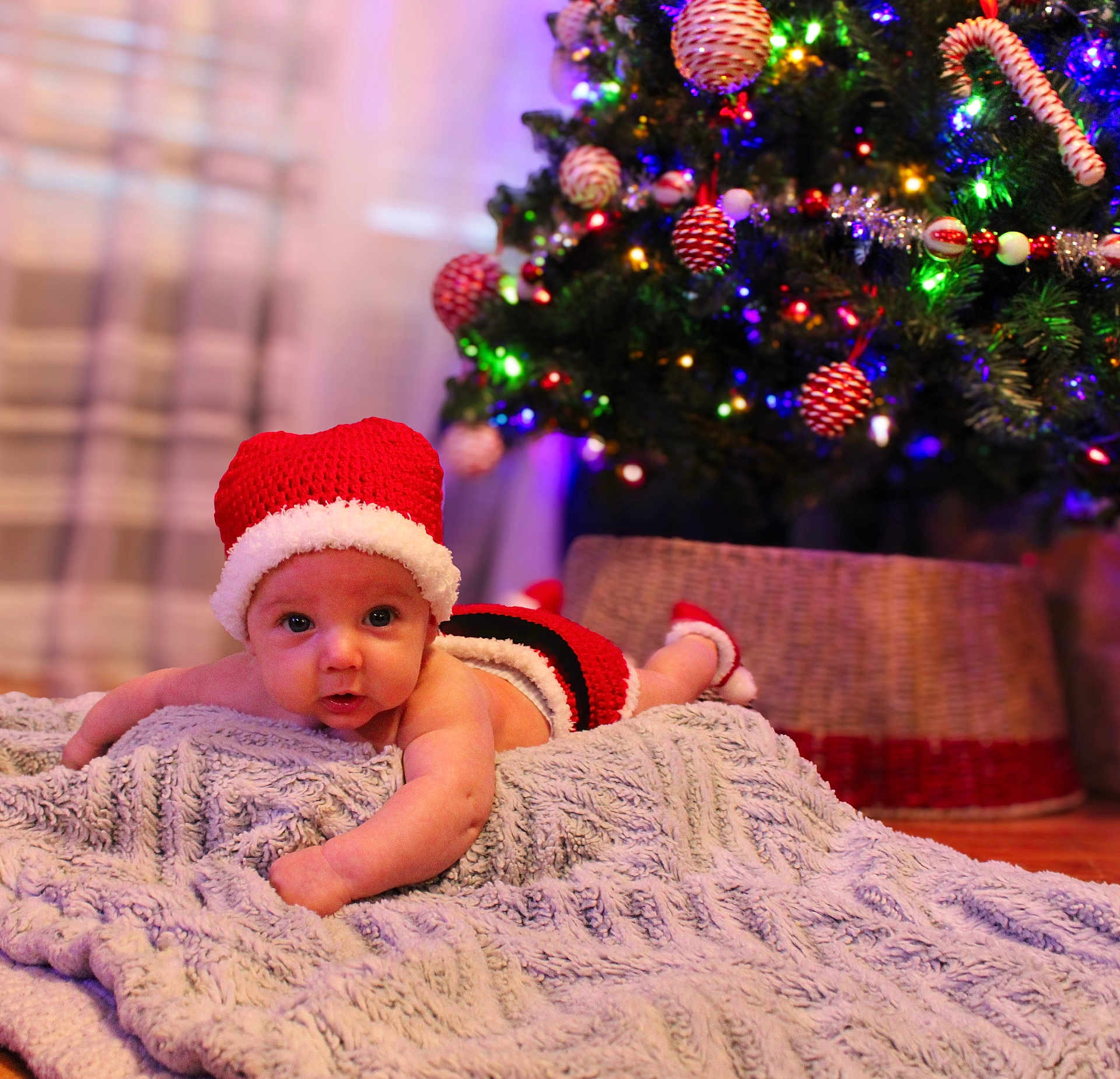 Lyle joined the competition — help win amazing prizes! baby, infant, christmas_tree, holiday, festive, red_hat, blanket, ornaments, lights, indoors, cute, holiday_season, decorations, christmas, smiling, face, soft_texture, seasonal, toddler, christmas_outfit