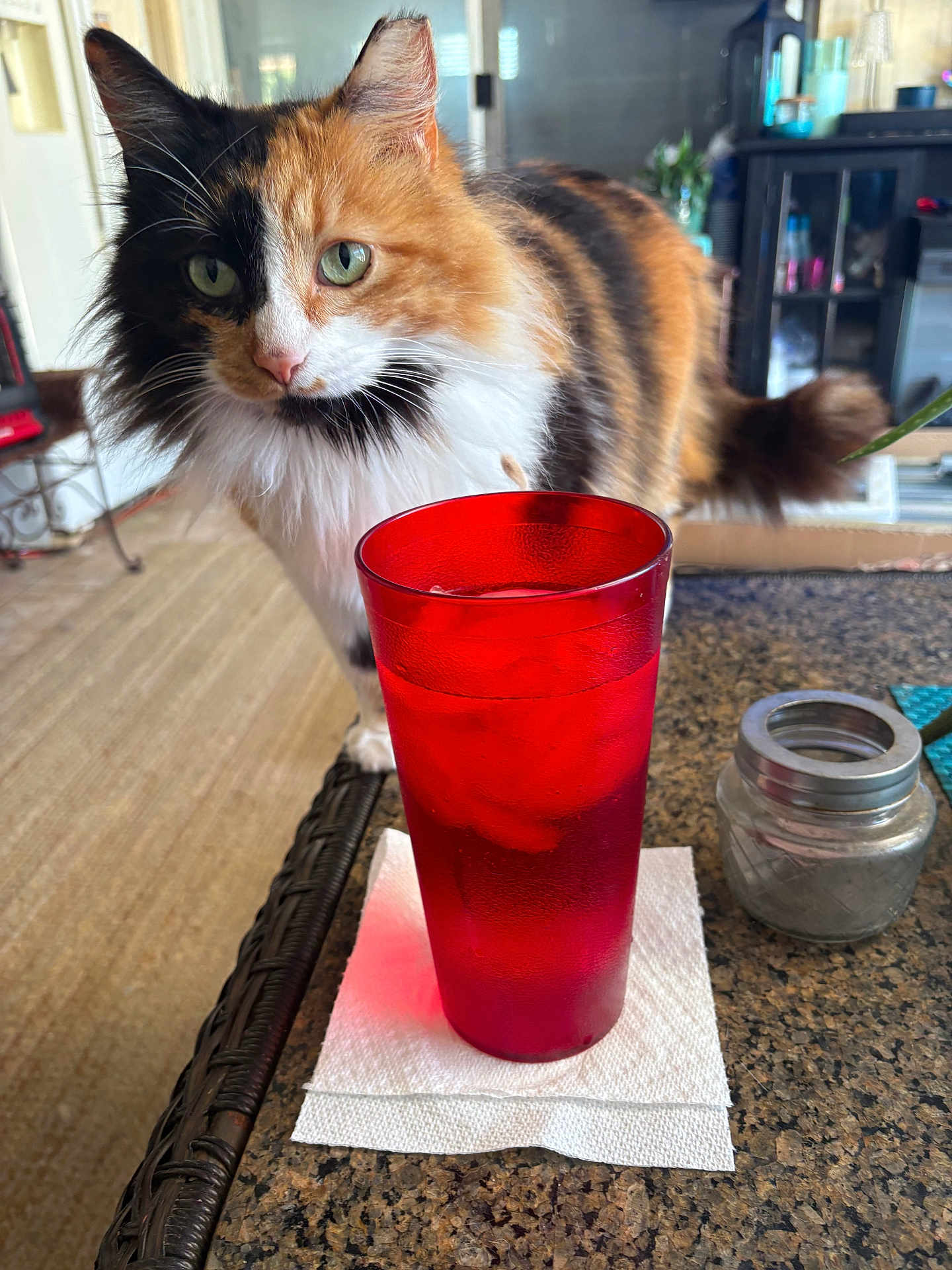 Muki joined the competition — help win amazing prizes! cat, calico_cat, pet, curious, close_up, green_eyes, whiskers, fluffy_fur, tail, red_glass, drink, ice, napkin, countertop, kitchen, cabinet, plant, indoor, furniture, table
