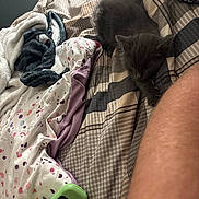 Negan joined the competition — help win amazing prizes! kitten, cat, bed, blanket, plush_toy, remote_control, arm, striped, patterned, fabric, indoor, resting, sleepy, small_animal, pet, feline, cozy, soft, domestic, relaxing