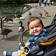 Nolans joined the competition — help win amazing prizes!