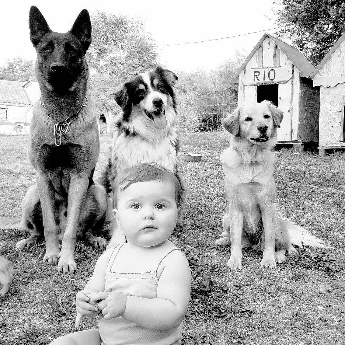 Dandy participe au concours pour gagner de l'argent avec cette photo : baby, black, black_and_white, carnivore, companion_dog, dog, dog_breed, friendship, grass, happy, monochrome, people, photograph, sky, smile, snout, style, toddler, white, working_animal