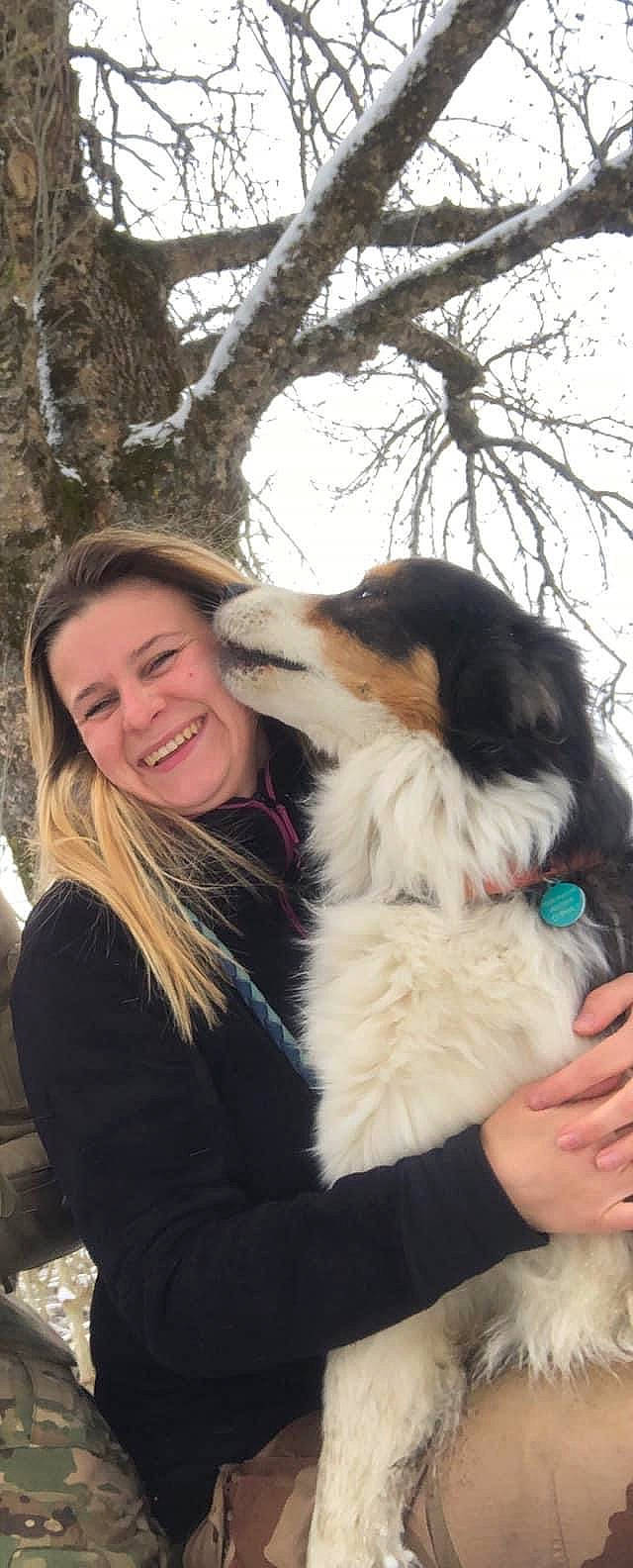 Dandy participe au concours pour gagner de l'argent avec cette photo : canidae, carnivore, companion_dog, dog, dog_breed, fun, fur, gesture, giant_dog_breed, guard_dog, happy, herding_dog, sky, smile, snout, sporting_group, travel, tree, winter, working_dog